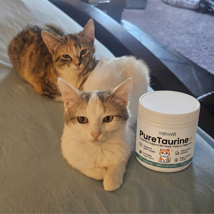 Review by Dorothy M., Seattle